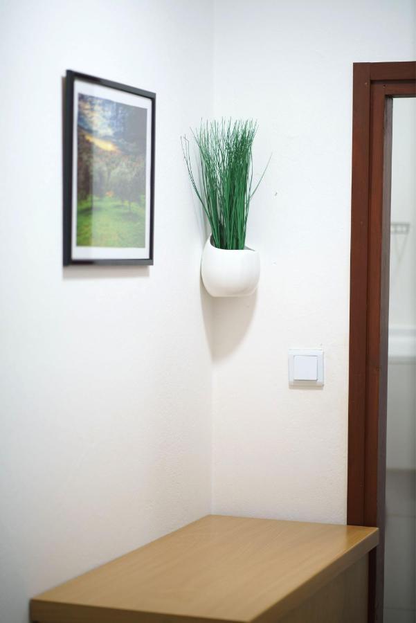 וודיצה Apartment Bojic מראה חיצוני תמונה